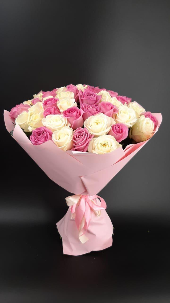 Serene Horizon Blossom Collection